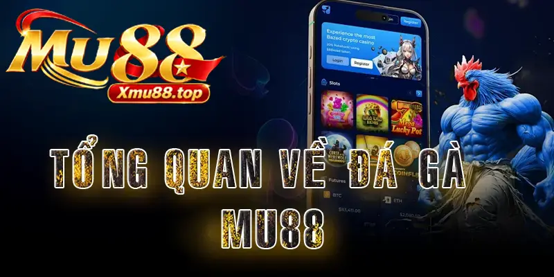 đá gà MU88